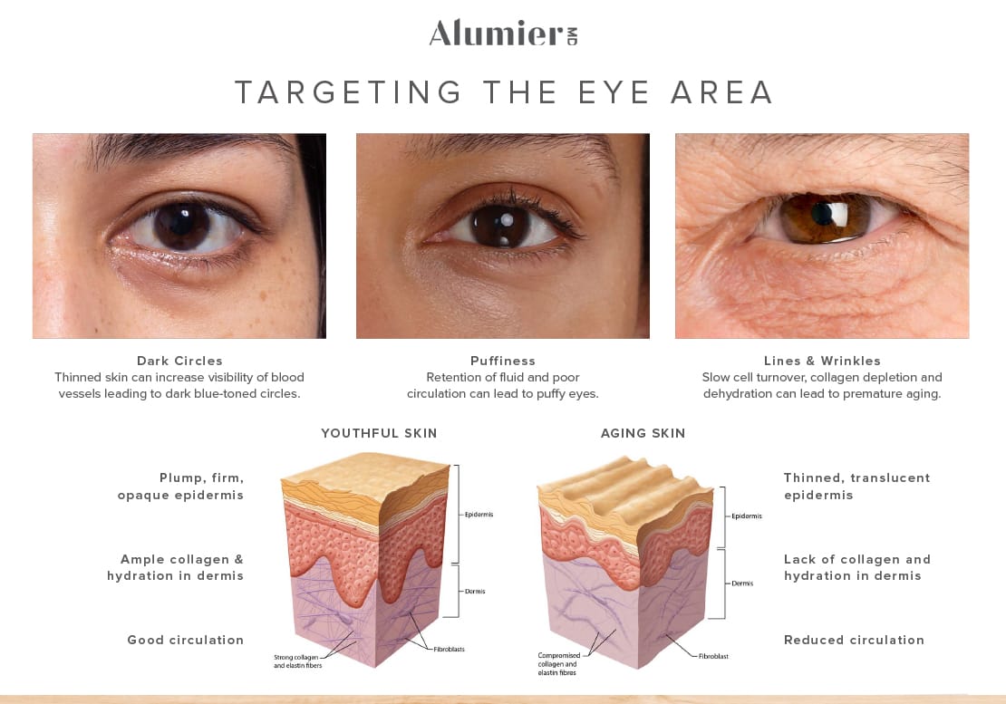 An infographic comparing the differences in skin characteristics around the eye area.